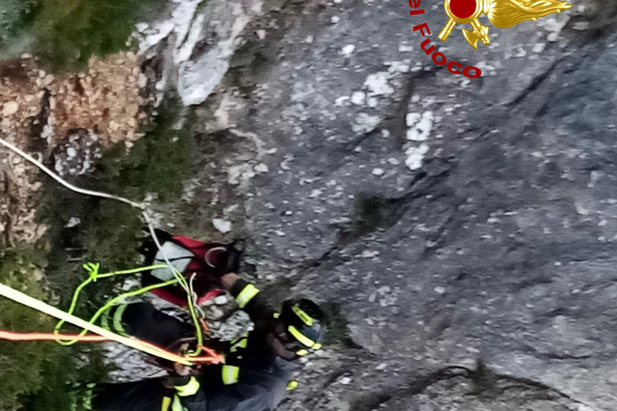 Pecore bloccate in un dirupo nel Supramonte: intervengono i Vigili del Fuoco