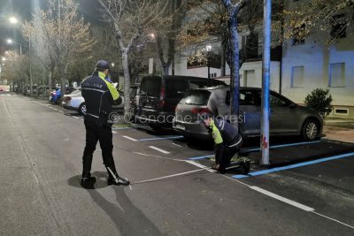 Nuoro, i rilievi della Polizia Locale sul luogo dell'investimento