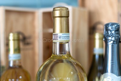 Vermentino di Monti (foto S.Novellu)