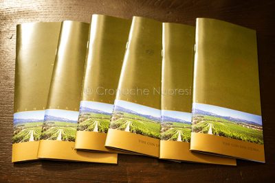 Vini delle Cantina del Vermentino di Monti (foto S.Novellu)