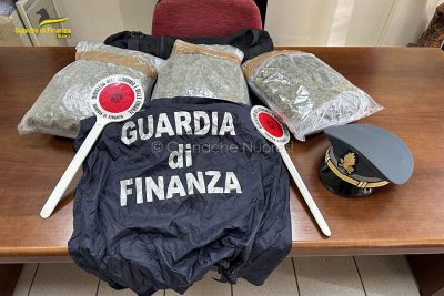 La marijuana sequestrata dalla Guardia di Finanza