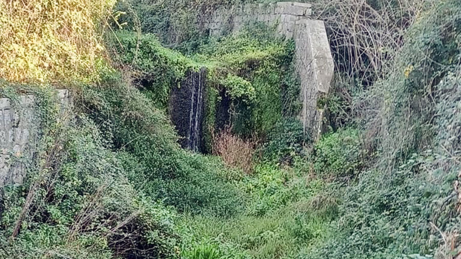 Oliena. Argini non curati: la Minoranza interroga la Giunta Congiu