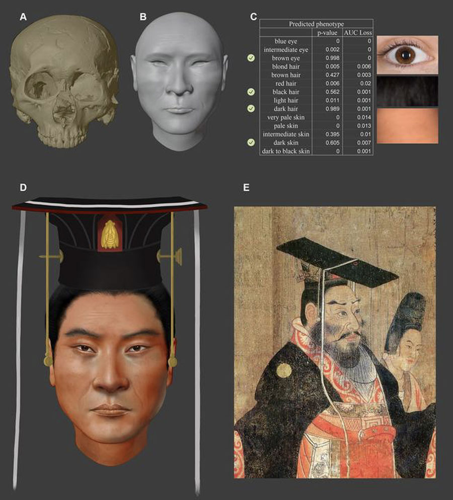 Cina: completato il profilo genetico di un antico imperatore