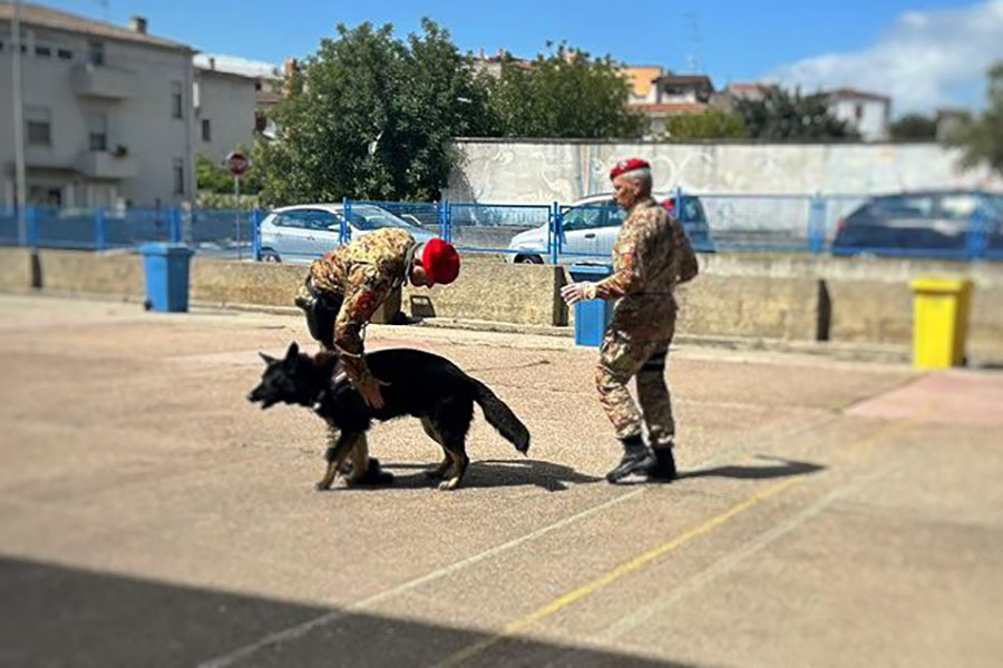 Cultura della legalità e primo soccorso. I Carabinieri vanno a scuola a Irgoli
