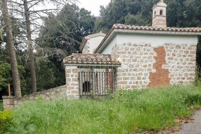 Erbacce al Monte Ortobene