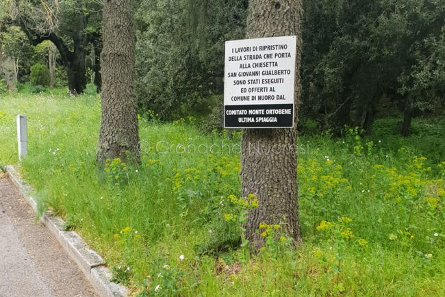 Erbacce al Monte Ortobene