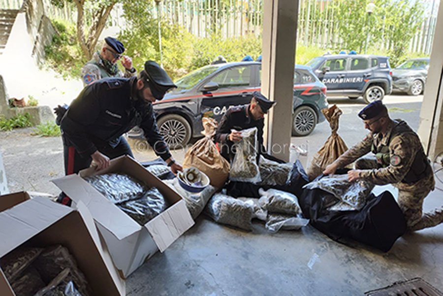 Controlli anti droga tra Siniscola e Dorgali: nei guai un 21enne e un 66enne