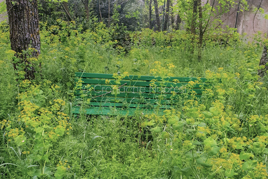 Nuoro. Il Comitato Monte Ortobene Ultima Spiaggia interviene per lo sfalcio delle erbacce al Monte