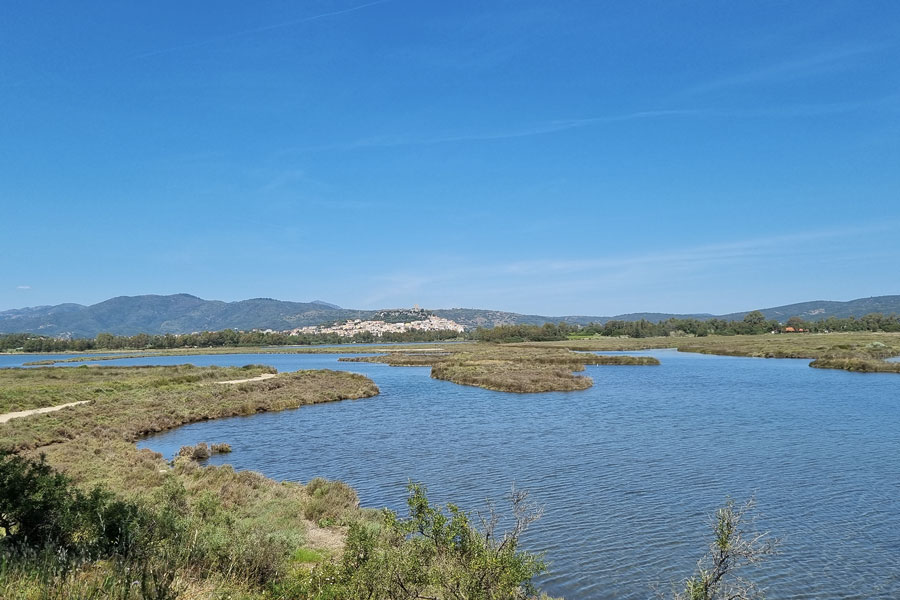 Doppio appuntamento con Foreste aperte: domani a Lodè e  il 25 a Posada (Consulta il programma)