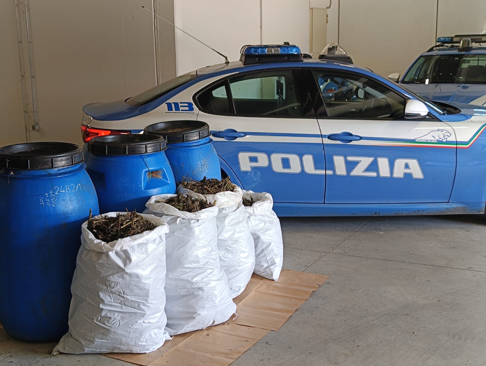 Orosei. Sequestrati dalla Polizia 20 kg di marijuana nascosti in campagna