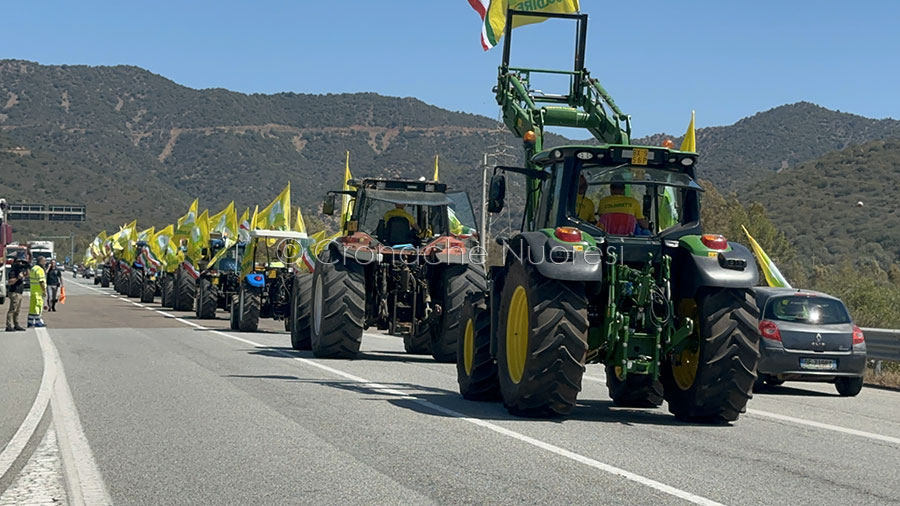 Dal nord al sud dell’Isola parte il grido di allarme per la siccità: 2mila trattori invadono le strade