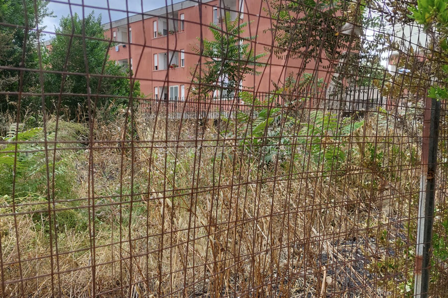 Emergenza viale Costituzione: “l’erba brucia”, le promesse restano inattese