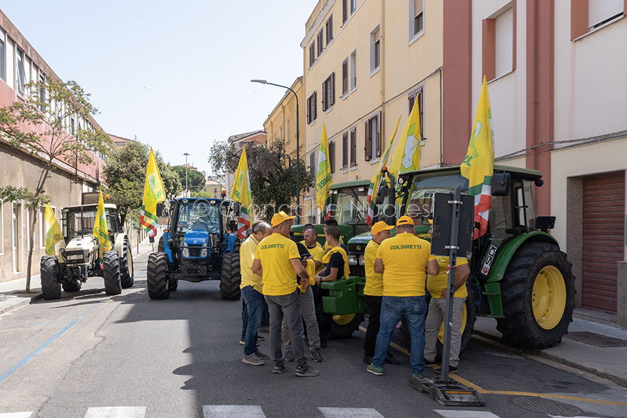 Nuoro. Stop all’invasione di animali selvatici e cinghiali  -VIDEO