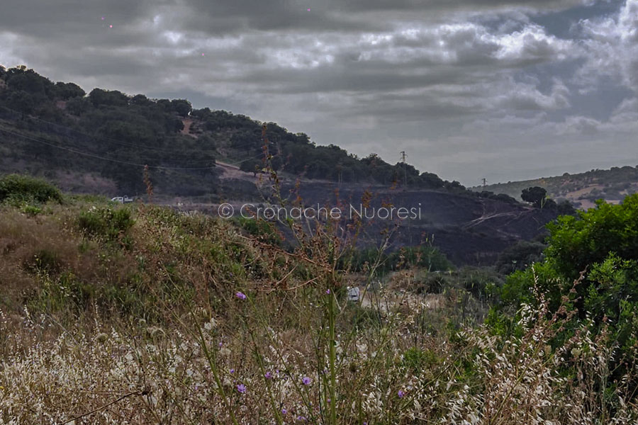 Ancora un incendio alle porte di Nuoro: il fuoco lambisce le case al Borghetto