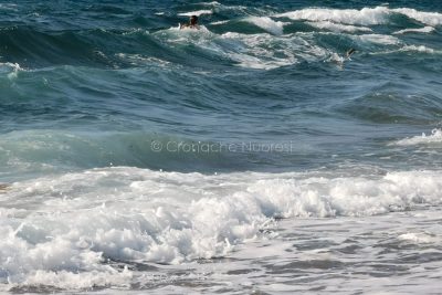 Mare agitato (foto S.Novellu)