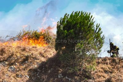 Un Vigile del fuoco in azione (foto S.Novellu)