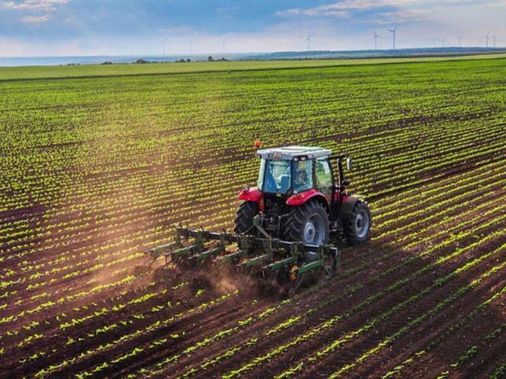 Csa “Intervenga Protezione Civile per aiuti aziende agricole sarde”