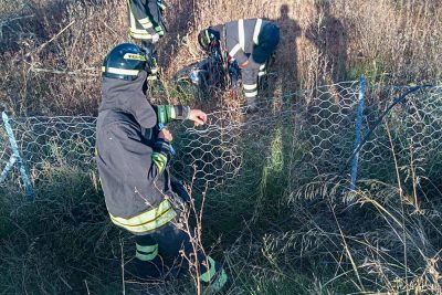 I Vigili del fuoco soccorrono il motociclista