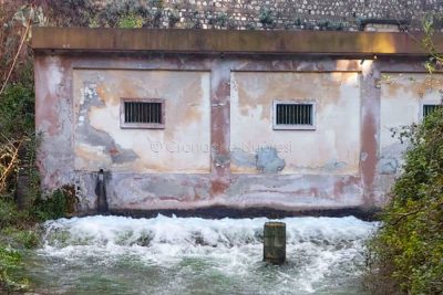 Il depuratore di Frunch'e oche