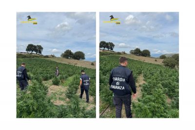 I finanzieri in due piantagioni di marijuana