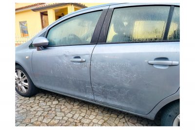 L'auto danneggiata dal muflone nel tentativo di liberarsi