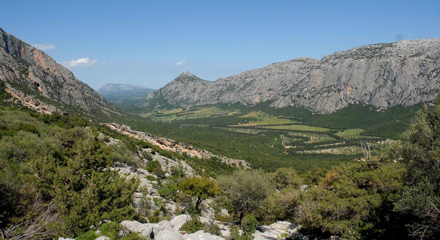 Oliena: Budorrai senza gestore: la valle di Lanaitho rischia il degrado