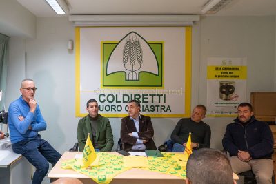 Coldiretti, incontro sulla razza Sardo-Bruna (foto S.Meloni)