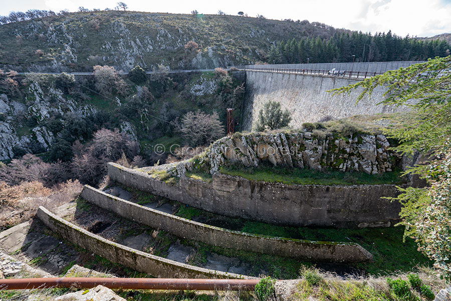 Gestione dell’acqua. Coldiretti a ENAS: “Lo spreco non è nei campi ma nelle infrastrutture fatiscenti!”