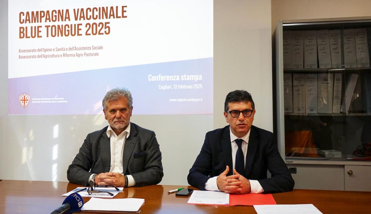Blue Tongue. Vaccinazioni a tappeto a partire dai primi di marzo