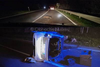 La scena dell'incidente e il cinghiale morto