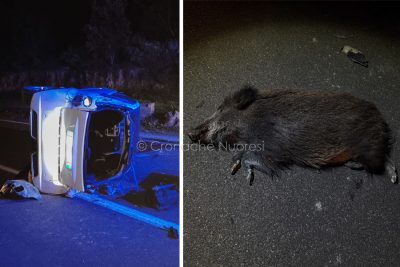 La smart e il cinghiale dopo l'incidente