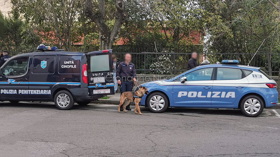 Blitz antidroga oggi negli istituti scolastici nuoresi: in campo Polizia e Unità Cinofile