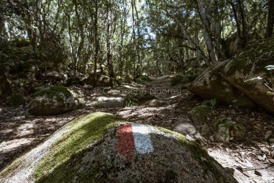 Percorso escursionistico sull'Ortobene (foto S.Novellu)