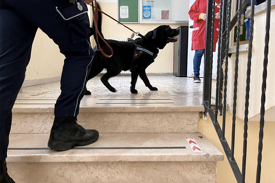 Nuoro. Tolleranza zero per la droga nelle scuole: raffica di controlli negli istituti e nelle stazioni