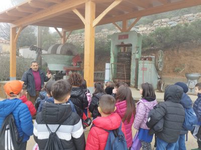 Bambini in visita al frantoio