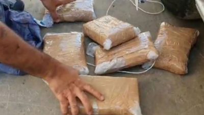 Cocaina sequestrata al porto di Olbia
