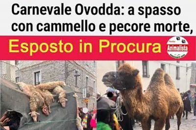 Il post sulla pagina social degli Animalisti