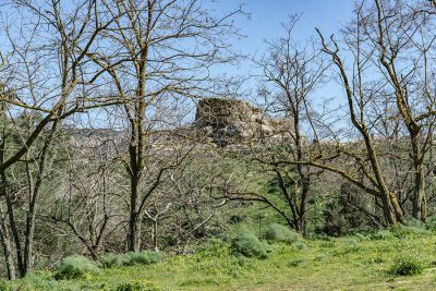 L'area archeologica di Tanca Manna (foto S.Novellu)
