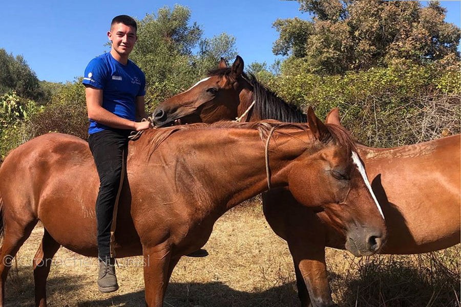 Omicidio di Barisardo: c’è un solo imputato che, però, non risponde