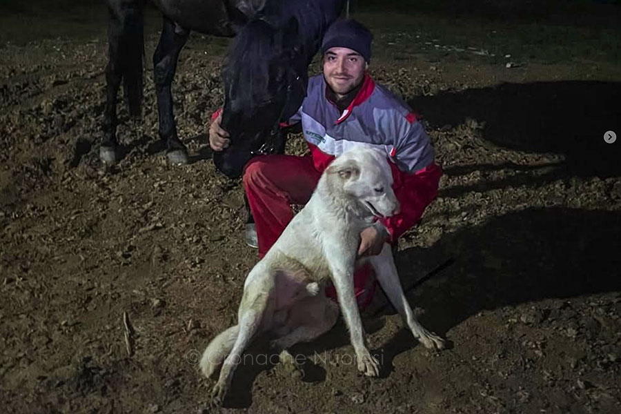 Carnevale di sangue a Barisardo: si stringe cerchio sull’assassino di Marco Mameli