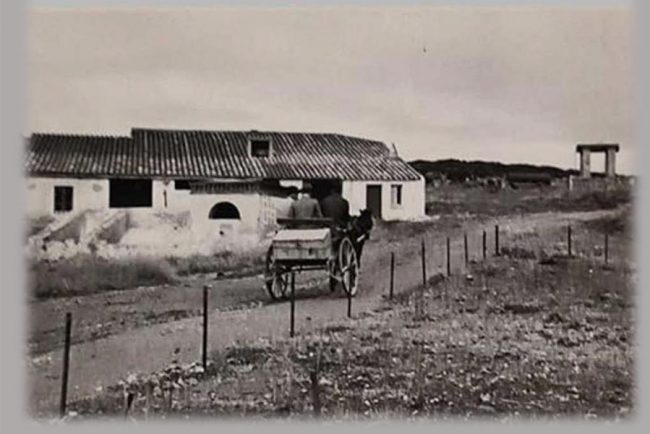 Giorgio Asproni, Seddas Moddizzis