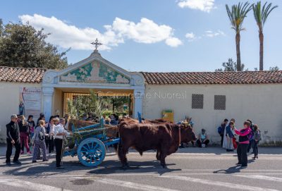 Orosei, tappa del pellegrinaggio del Cristo a Su Remediu (foto S. Novellu)