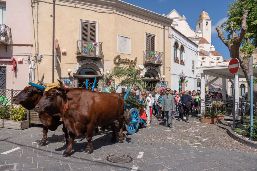 Tappa del pellegrinaggio del Cristo a Orosei (foto S. Novellu)