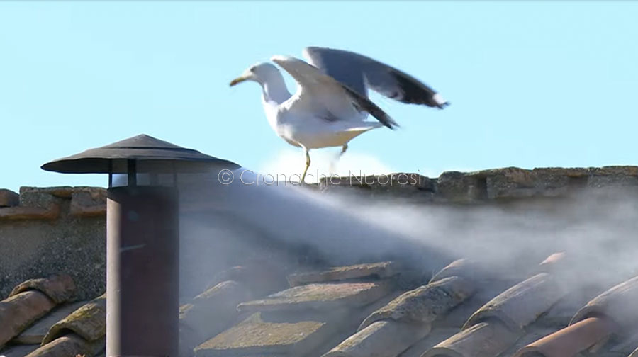 Fumata bianca: eletto il Papa