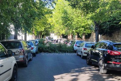 Il ramo caduto sulle auto in via Santa Barbara
