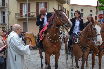 L'omaggio dei cavalieri a San Francesco (foto Nieddu)