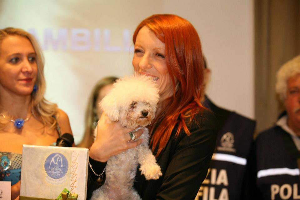 Approvata la Legge Brambilla contro il maltrattamento animale: reclusione da due a quattro anni