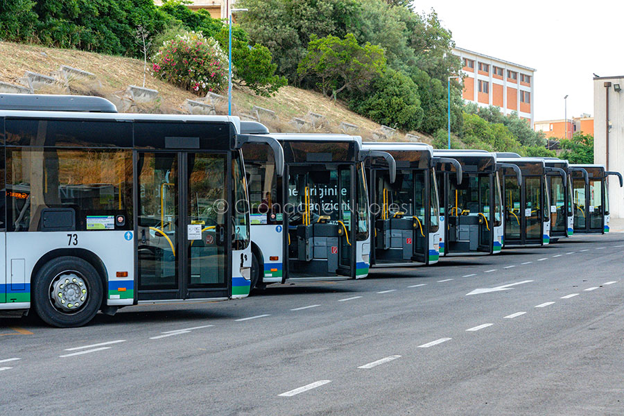 Trasporti speciali per “Carreras de Lollobe”: tutti gli orari di autobus e navetta per raggiungere il borgo