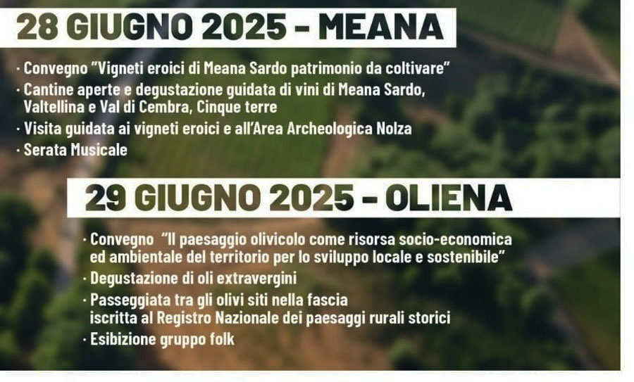 Oliena capitale dei paesaggi rurali storici: un convegno nazionale celebra gli oliveti pascolati