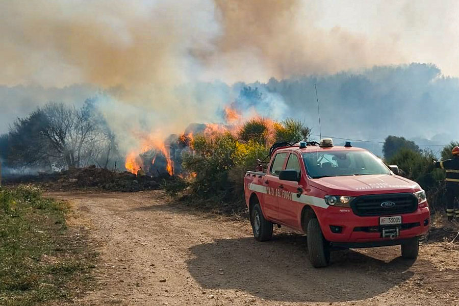 Brucia la Sardegna: oltre 40 i roghi. Animali in fuga dagli ovili